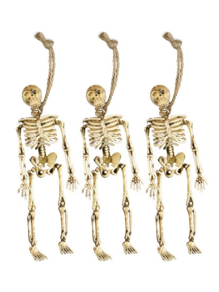 Nixe mumifiziert ca 70 cm Skelett Grusel Halloween Horror Tod