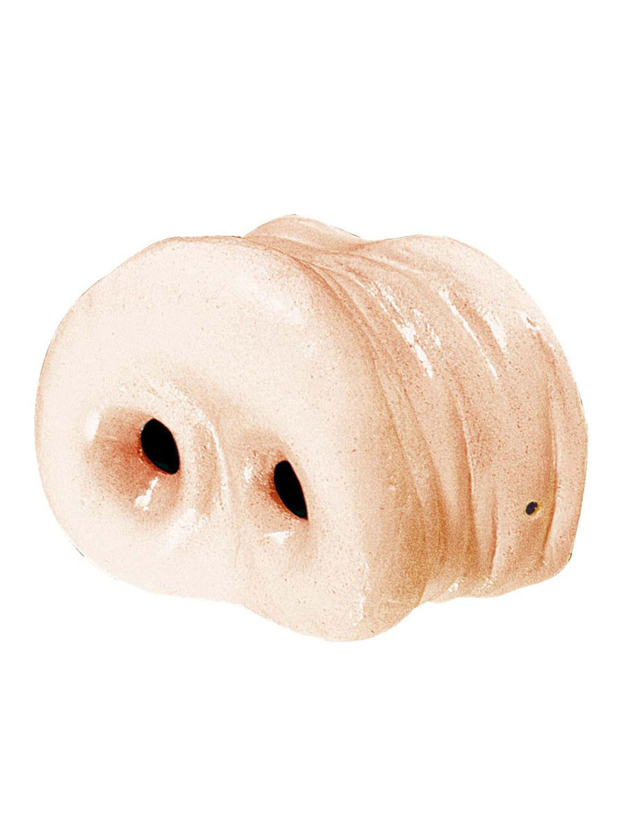 Latex Schweinenase Karneval Fasching Tier Schwein Maske eBay